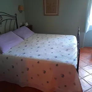 https://gli-ulivi-bed-breakfast.it-tuscanyhotel.com